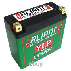 Aliant Lithium Motorbike Battery (YLP05B) Fits Suzuki TS125 1993