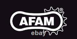 Fits Suzuki TS125 X 84-90 AFAM Chain & Sprocket