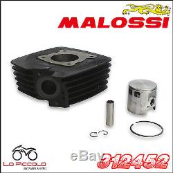 312452 Malossi Gruppo Termico Ø 50 À Ghisa Suzuki Ts Er 21 50 2t