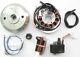 Powerdynamo Mz-b Vape Syst&egrave;me D'allumage Stator Pour Suzuki 71-78 Ts 185 250 Dc Sys