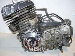 Powerdynamo Mz-b Vape Système D'allumage Stator Suzuki Ts Tm 400 Twin Spark DC