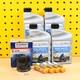 Suzuki Gsf 600 95 04 Kit De Service Original Filtre à Huile Bougies D'allumage Msk Moto 10w40