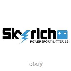Véritable batterie de moto au lithium SkyRich 12N5-3B pour scooter et motocyclette.
